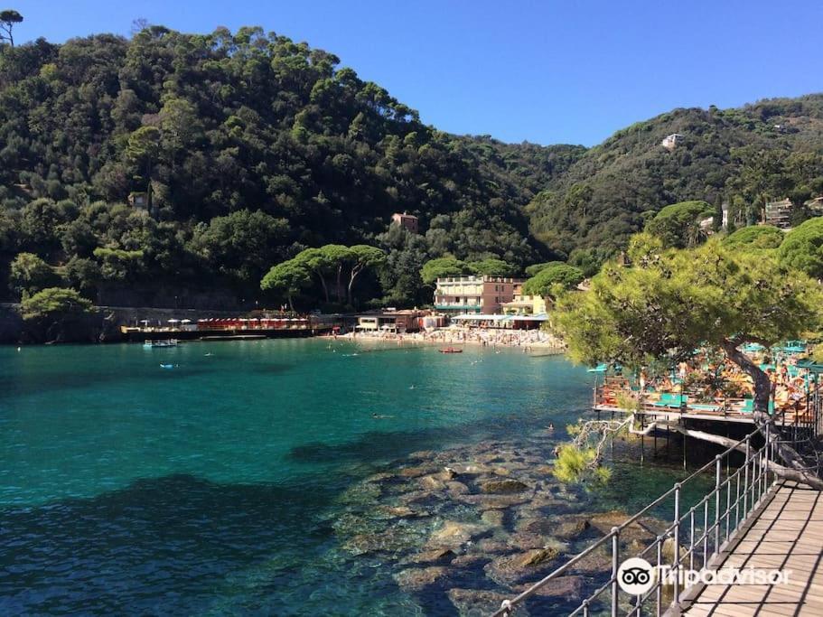 Portofino - Appartamento Vista Mare - Rooftop Terrazzo - In Centro Citta - Free Wifi 라팔로 외부 사진